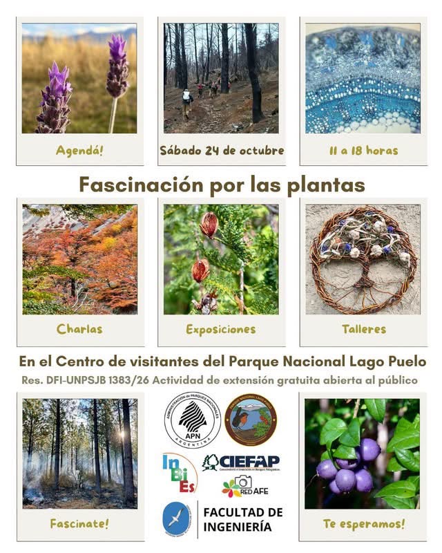 Fascinación por las plantas